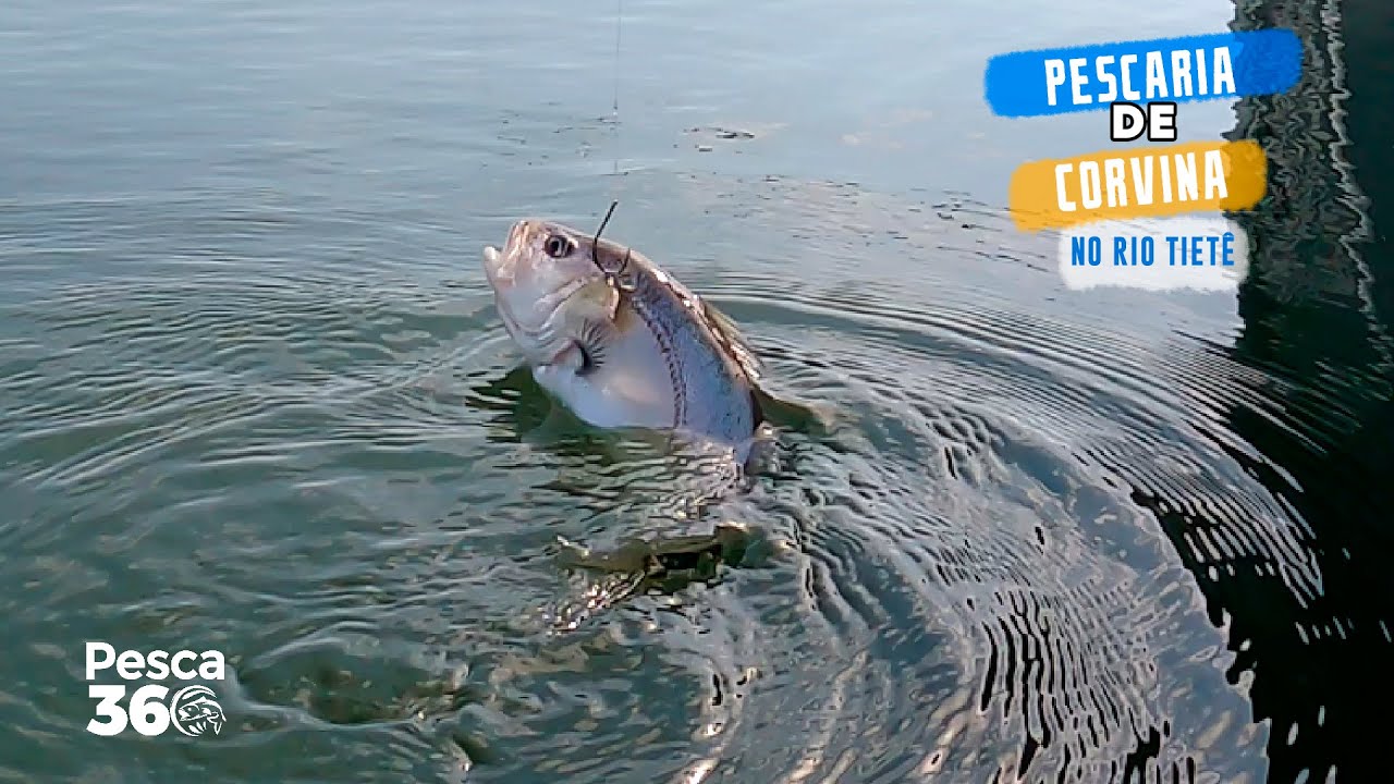ESTE TRECHO DO RIO TIETE PEGA MUITO PEIXE