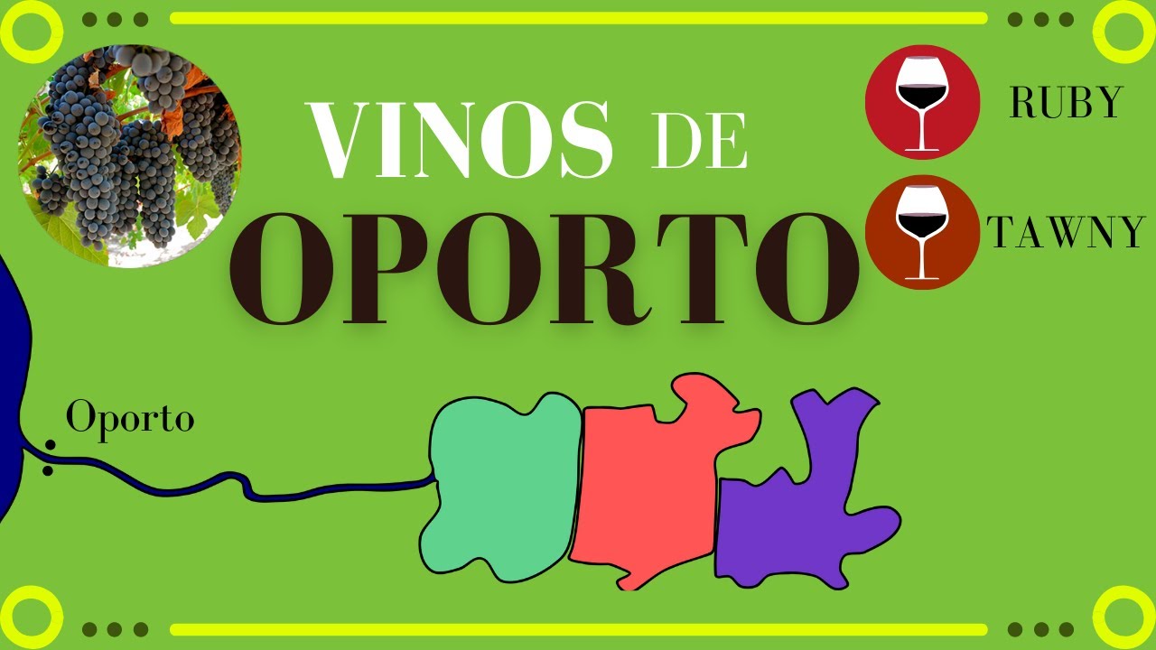 Vinos de OPORTO 🍷 [Clima, Uvas, Subregiones y Clasificación]