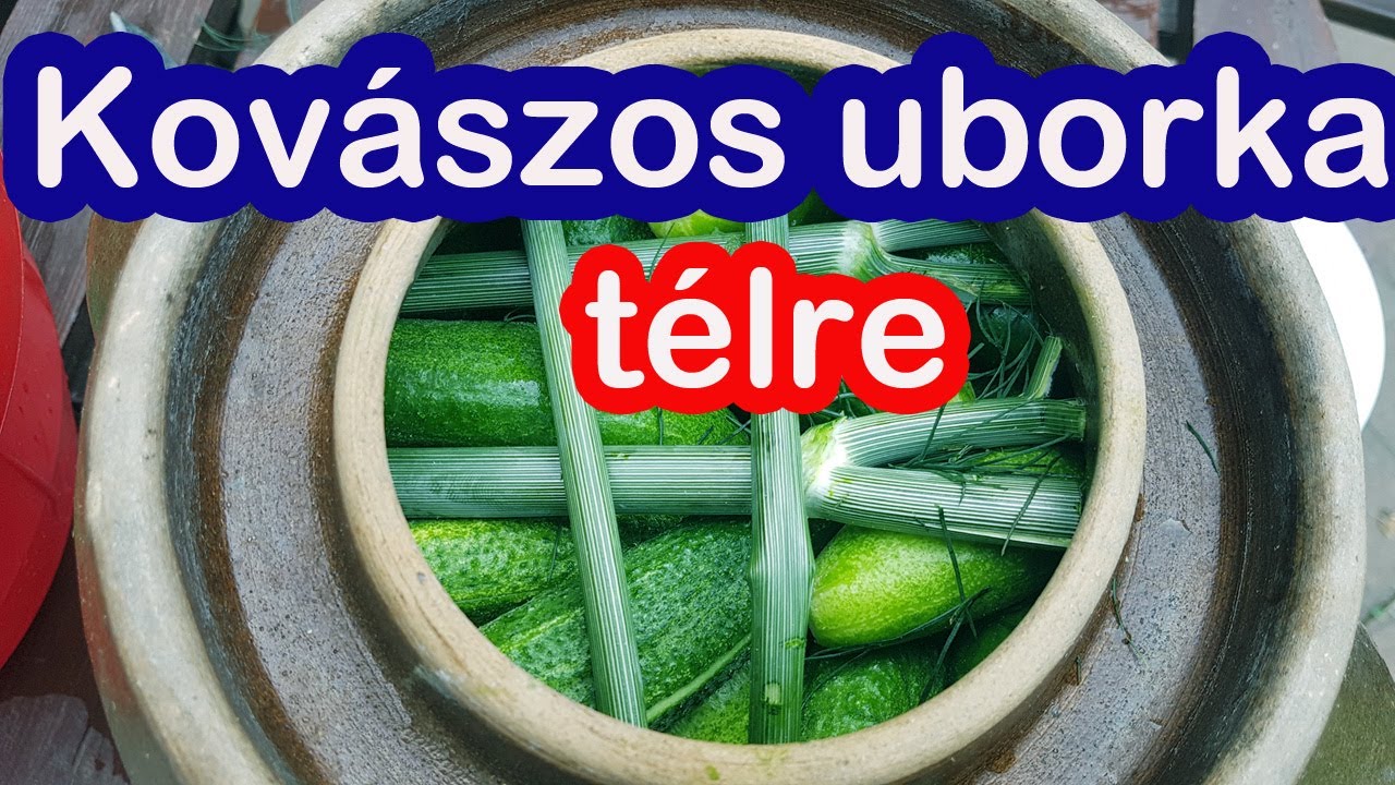 Kovászos uborka télre