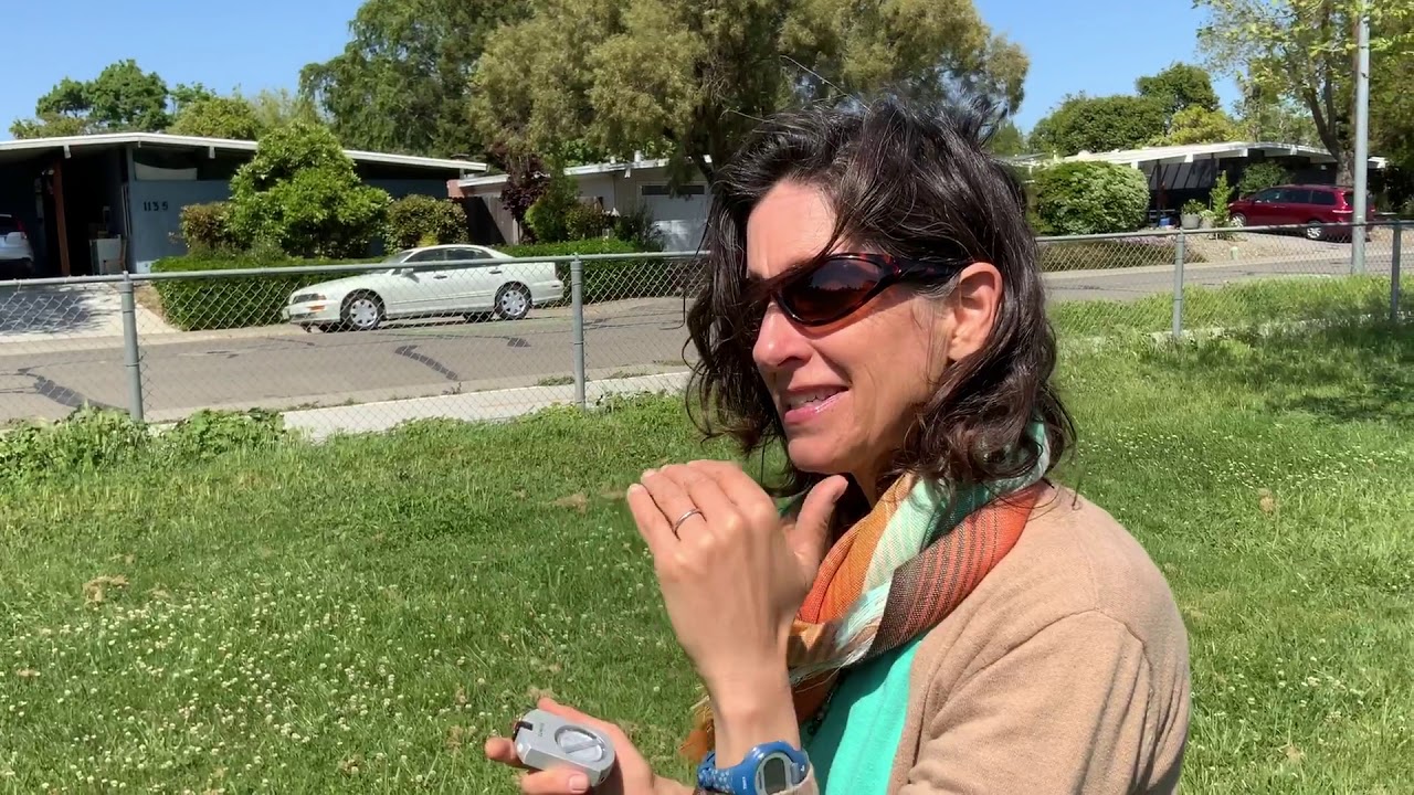 Tree height with clinometer