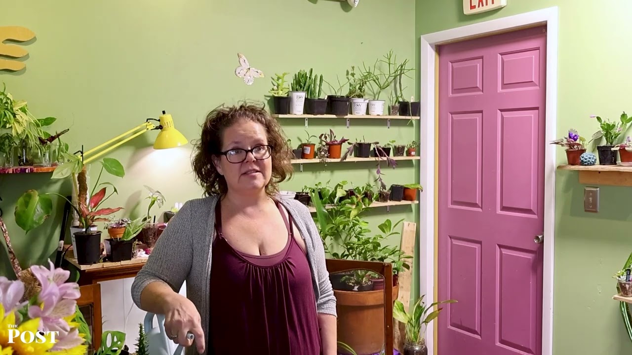 The Taproot Collective