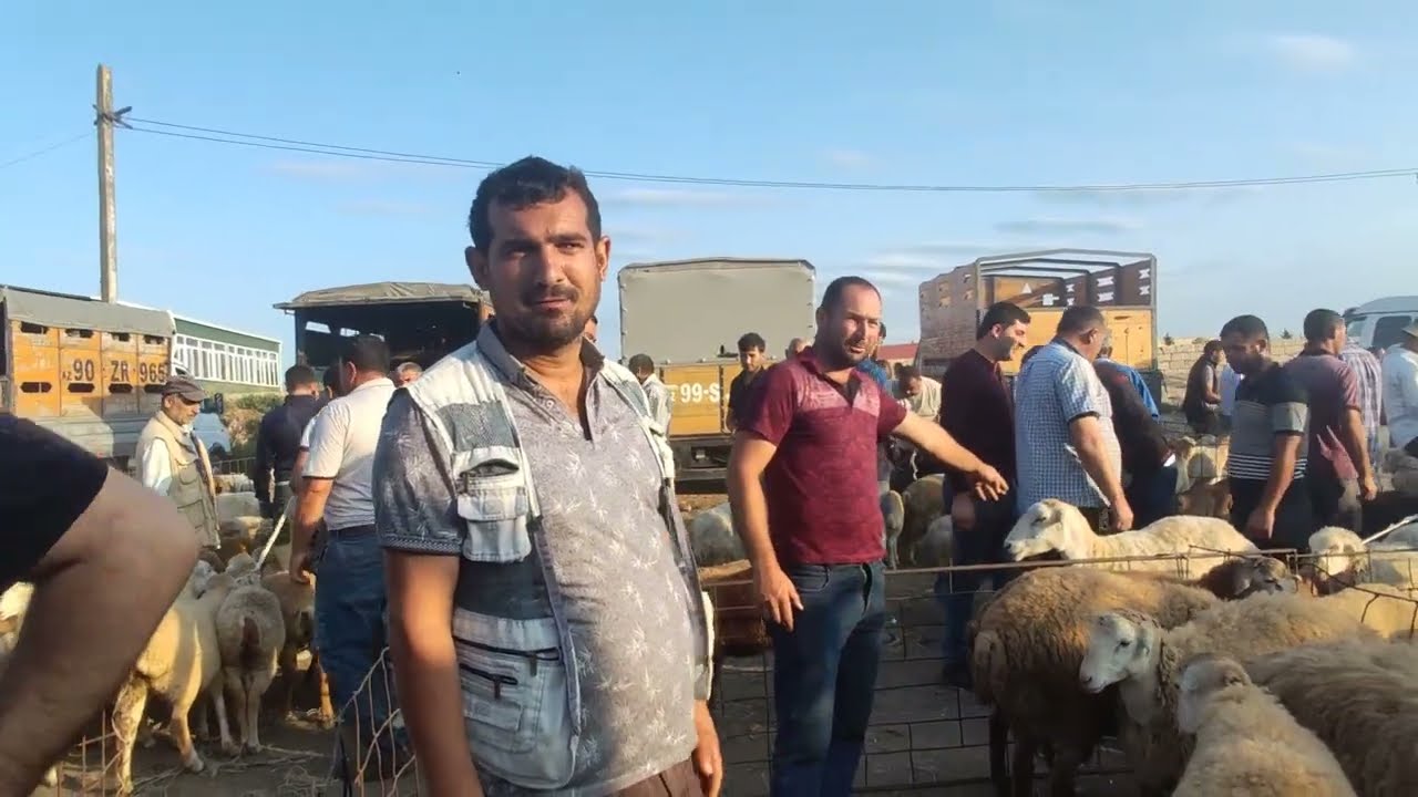 QOYUN BAZARİ FÜZULİ 30 İYUN 2024 YENİ VİDEO ÇƏKİLİŞ