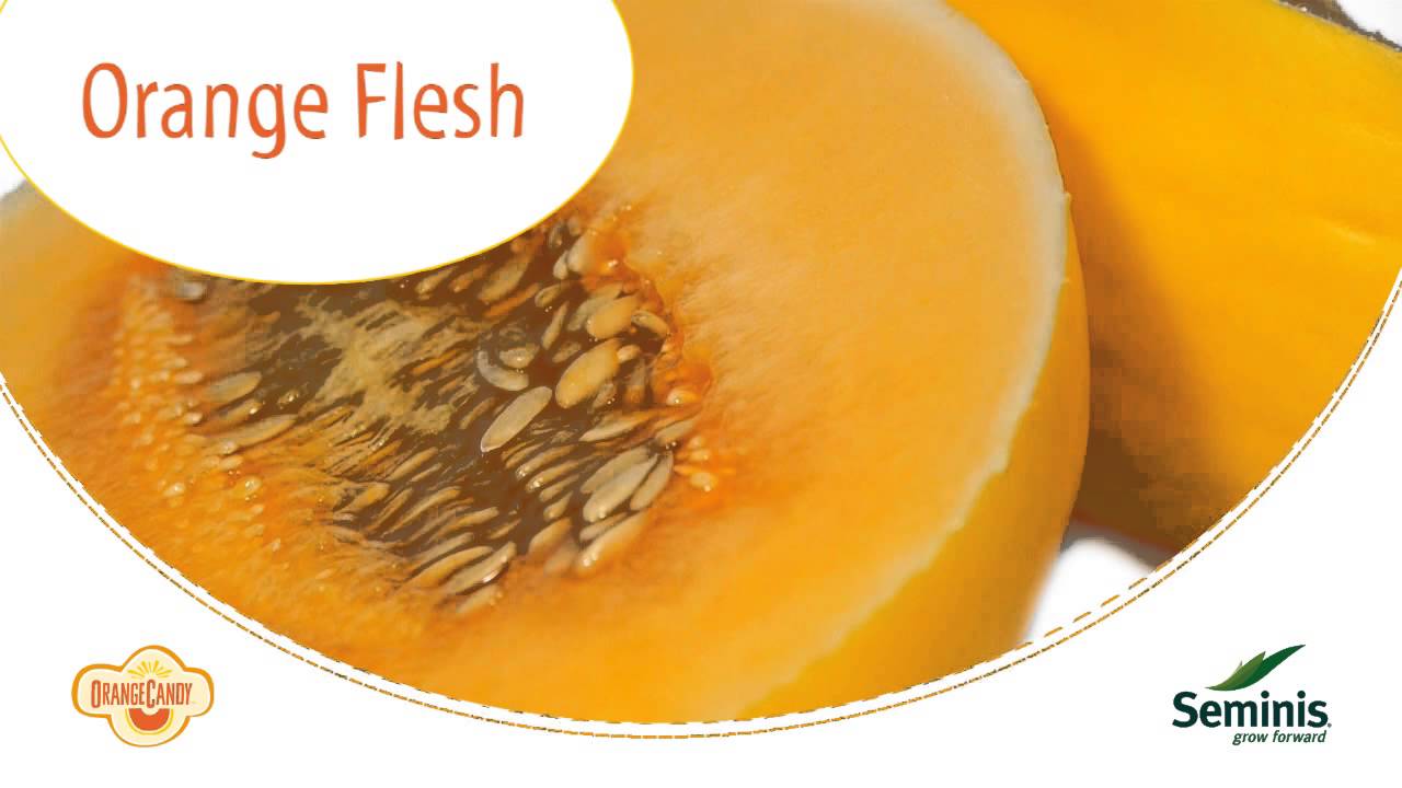 OrangeCandy&reg; the naturally sweeter melon.