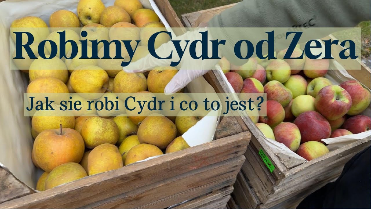 Cydr od 