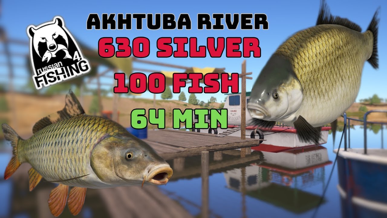 100 fish in 64min ! Wild Carp & Buffalo & Carp Akhtuba River | Russian Fishing 4