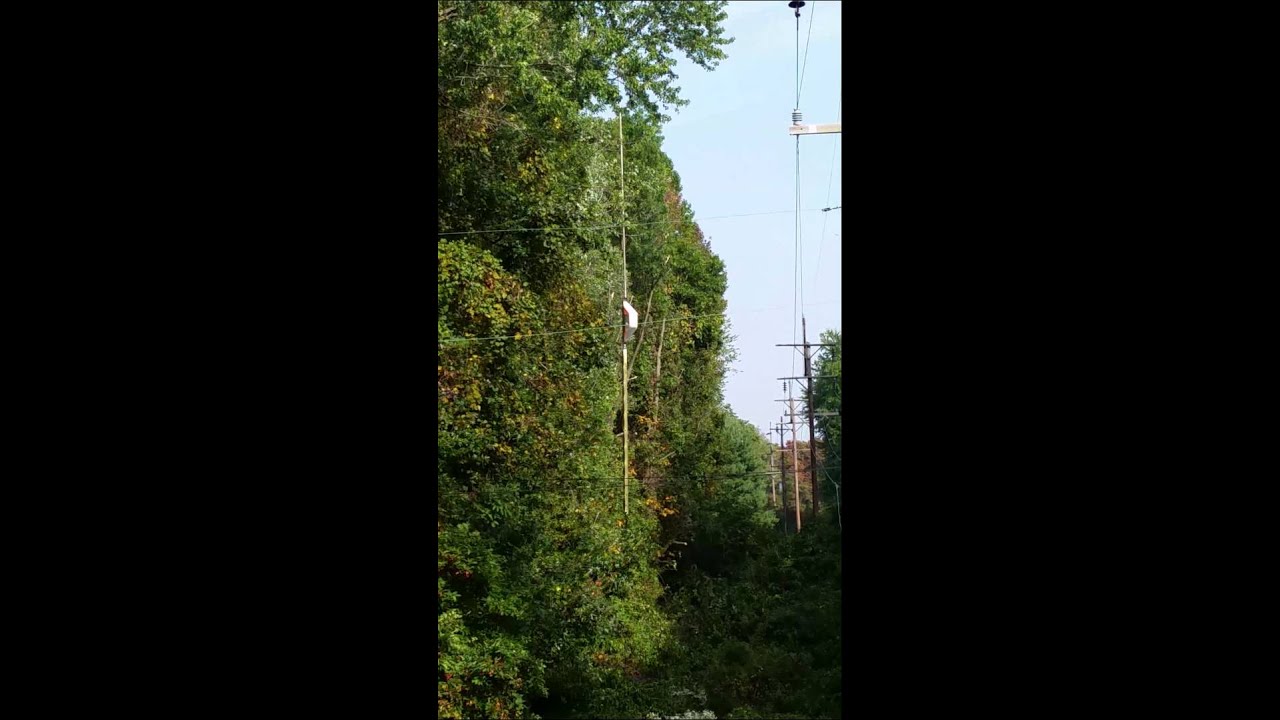 Power company trimming trees by helicopter
