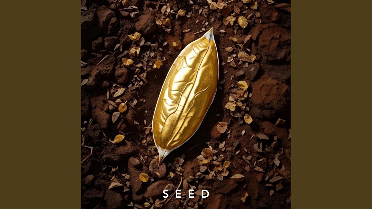 Seed
