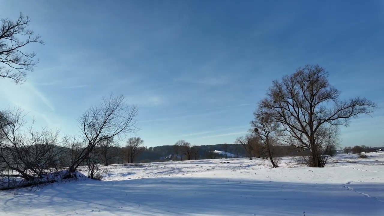 Nevėžio Nemuno santaka 20260117
