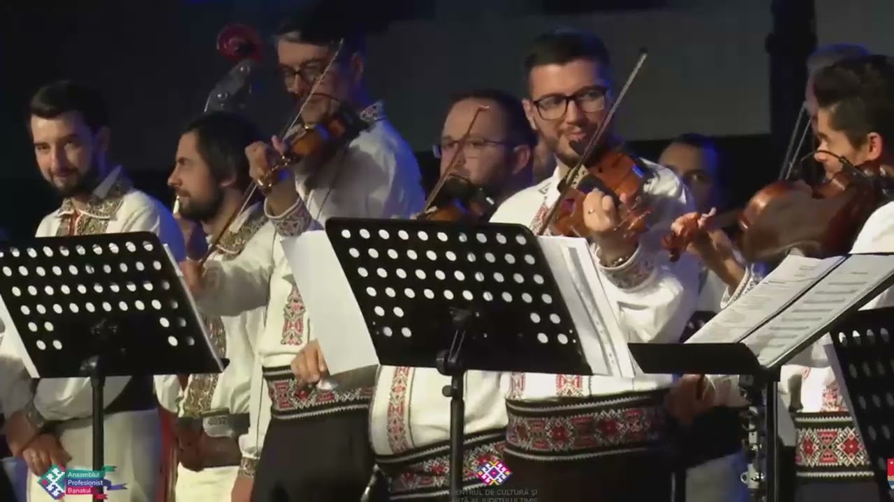 Orchestra Ansamblului Profesionist Banatul - Colaj Sarbesc
