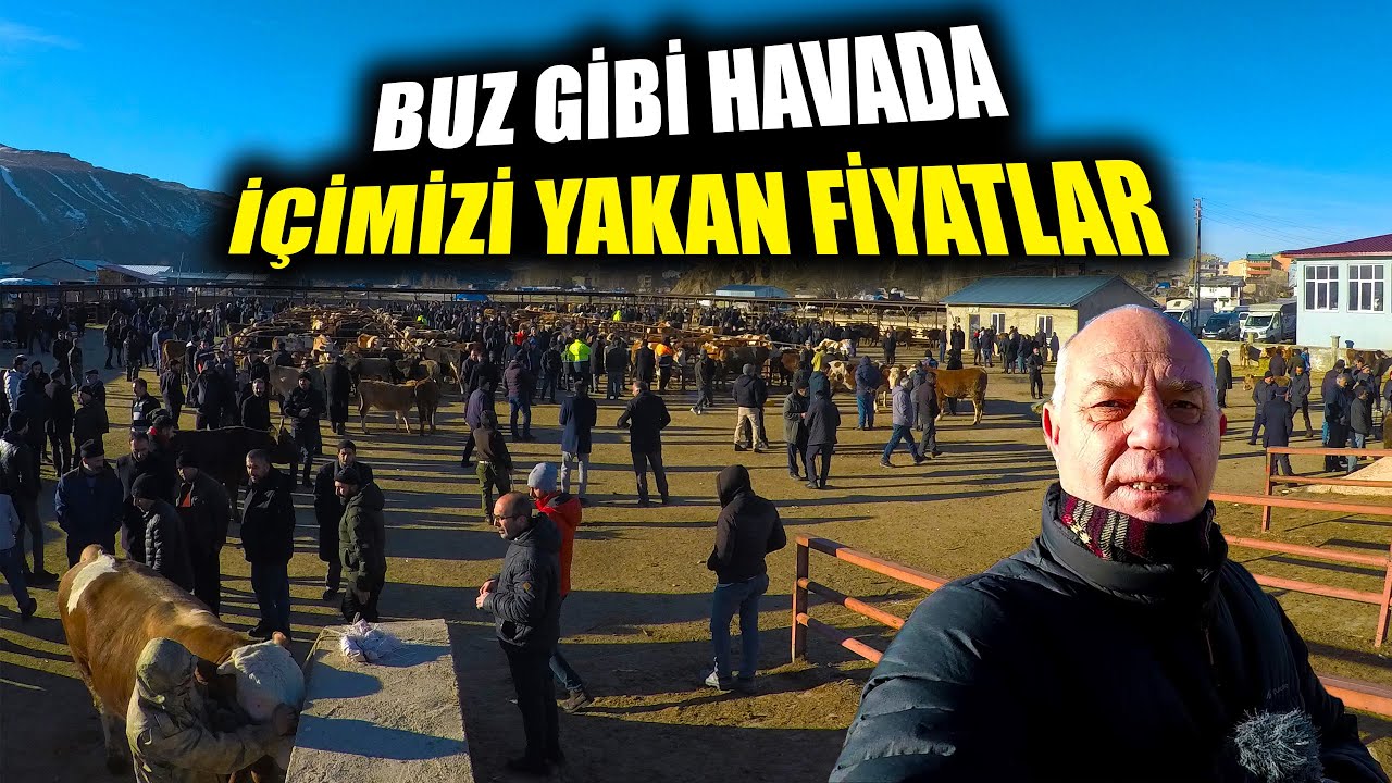 Erzurum Aşkale Hayvan Pazarı Son Güncel Fiyatlar