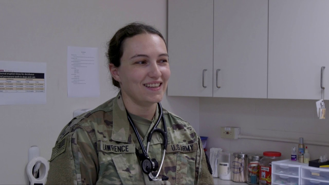 Naval Station Guantanamo Bay Veterinarian Services