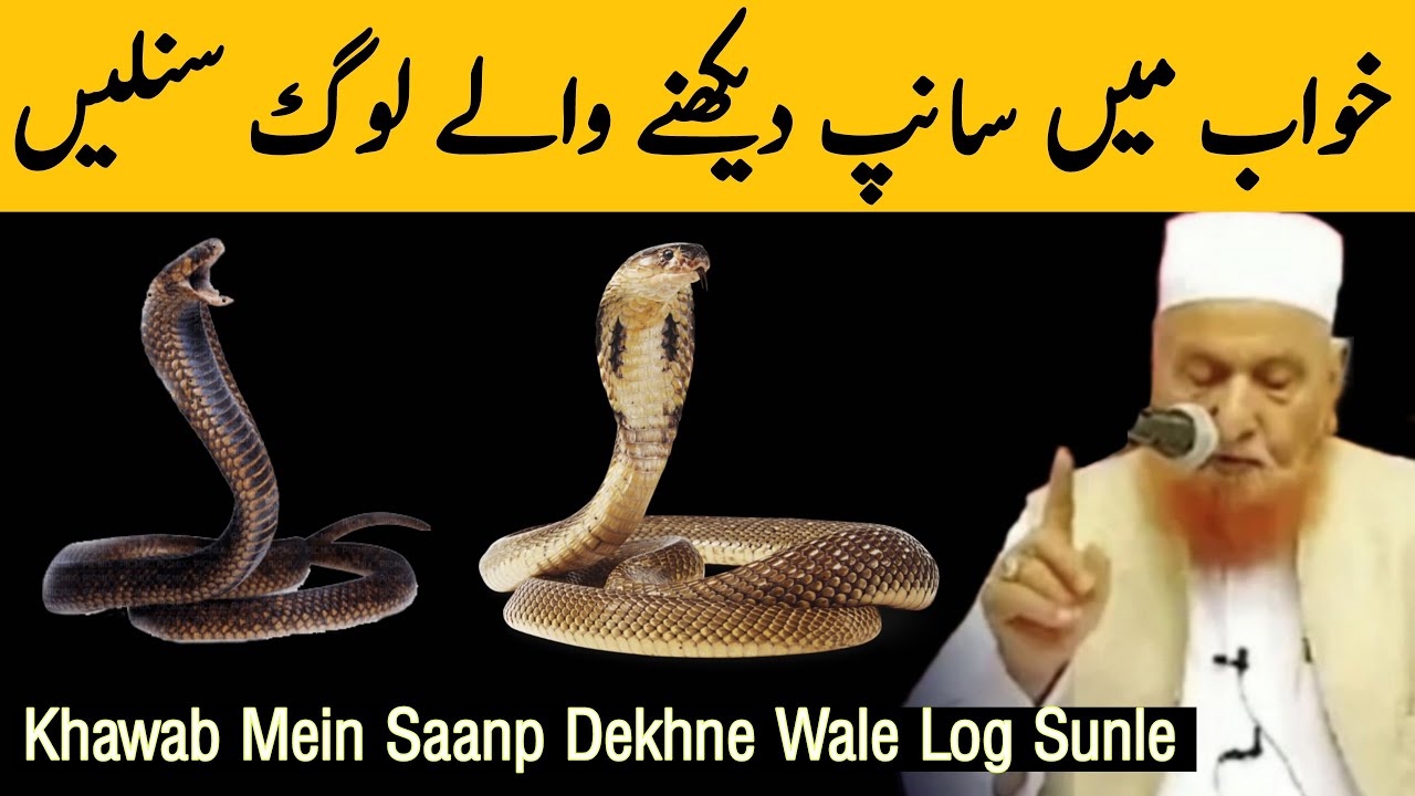 Khawab Mein Saanp Dekhne Wale Log Sunle | Maulana Makki Al Hijazi | Islamic Group