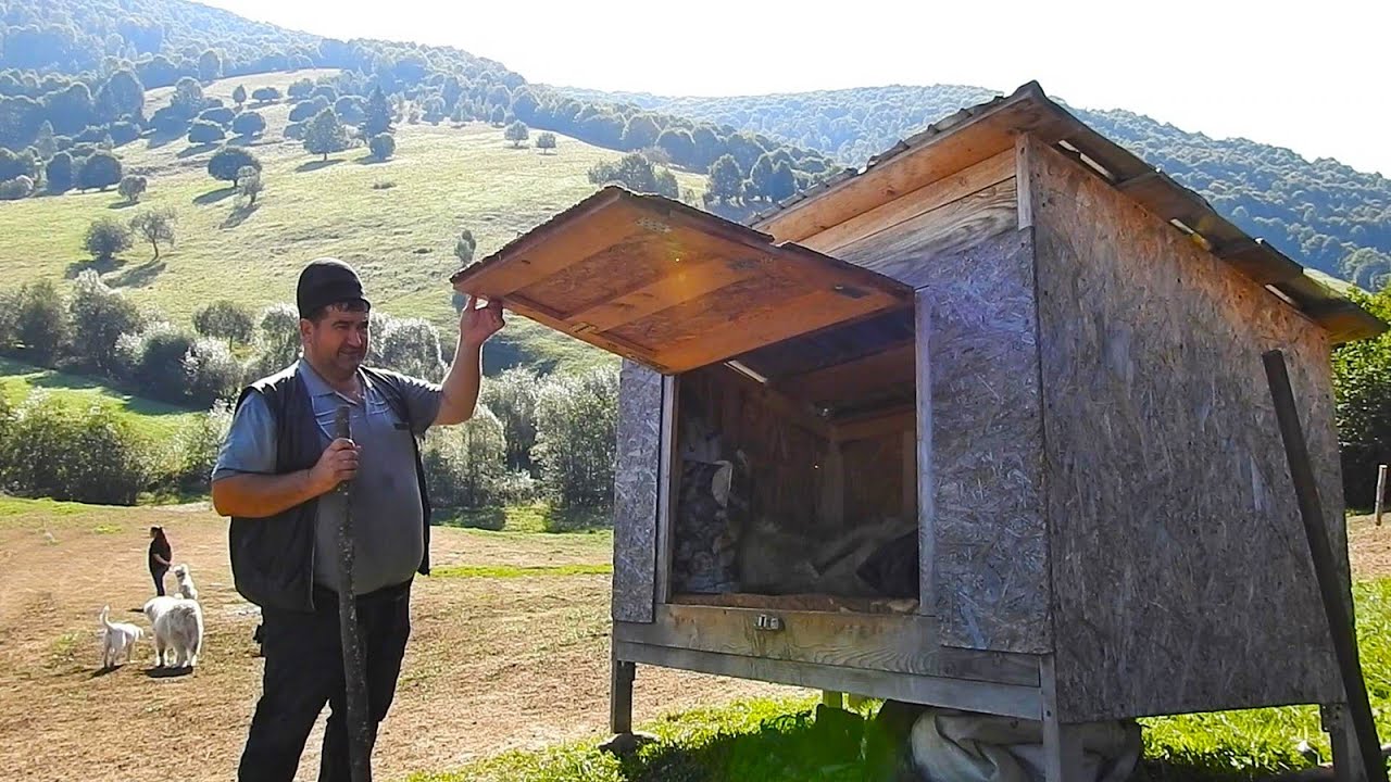 BOSCA IN CARE DORM CIOBANII LA STANA, IN MUNTII CARPATI. DOMNUL ADRIAN MUREA NE ARATA.