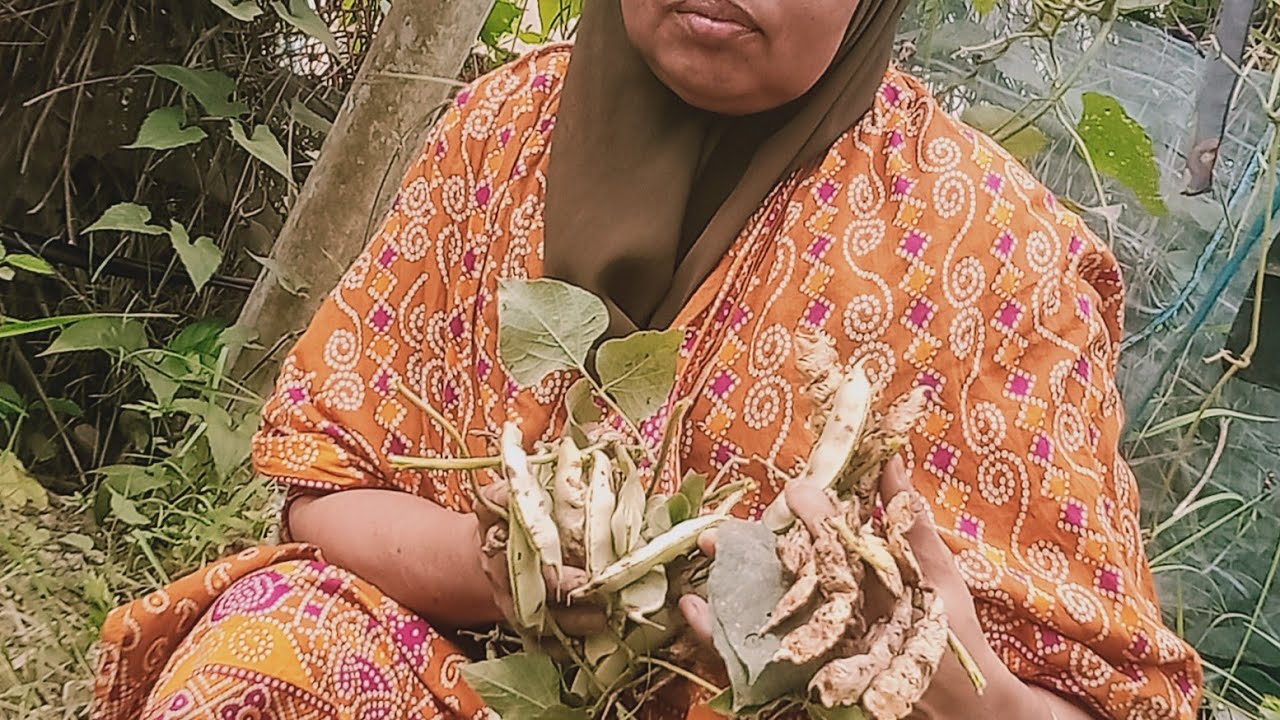 সিমের বাগান#@