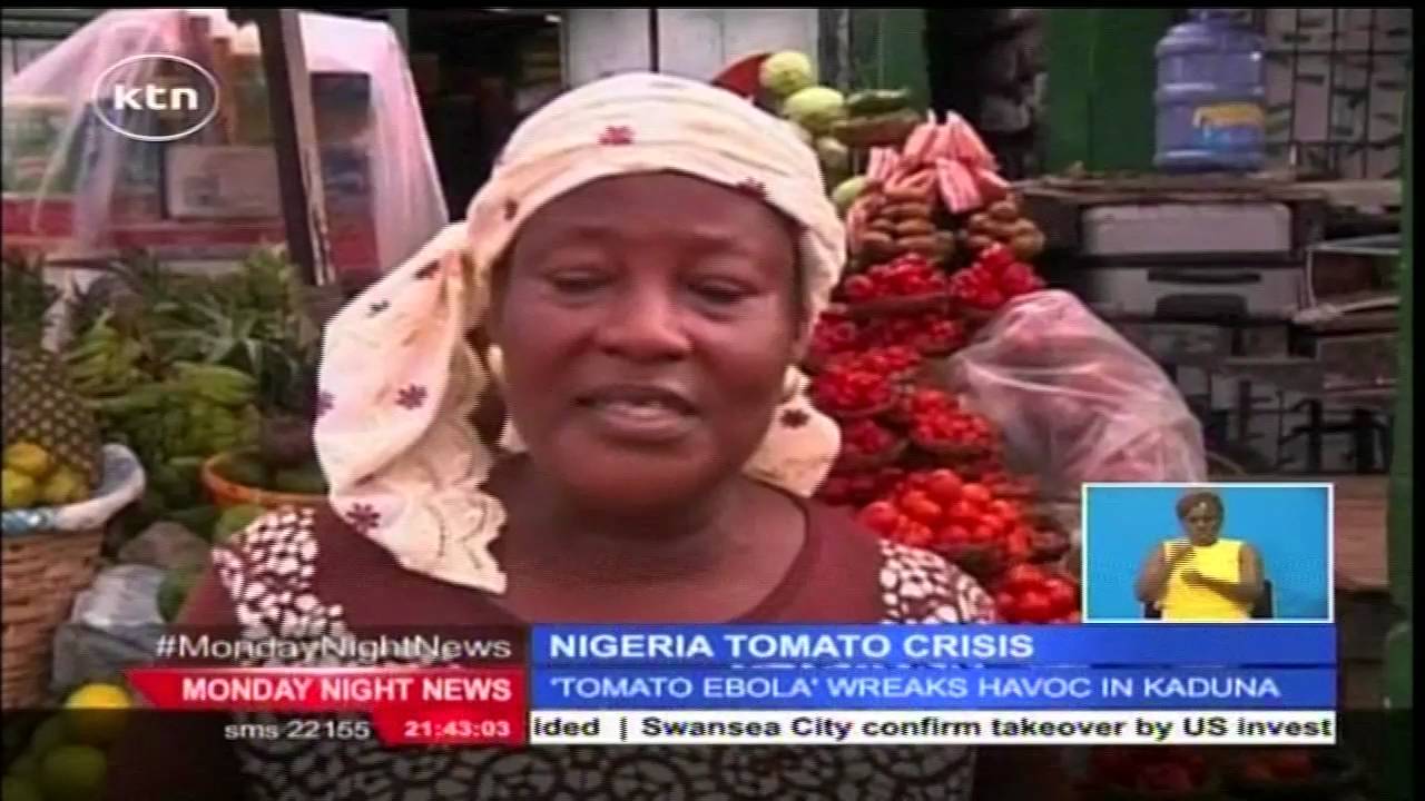 Sharp rise in the price of tomatoes in Nigeria following outbreak of 