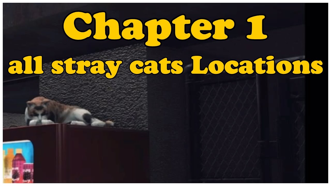 Judgment all stray cats Chapter 1  Location Guide all 6 stray cat Locations PS4