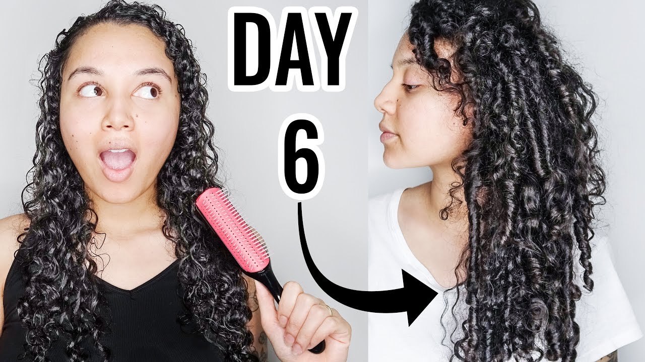 SURPRISING Denman Brush Day 1 to 8 Results