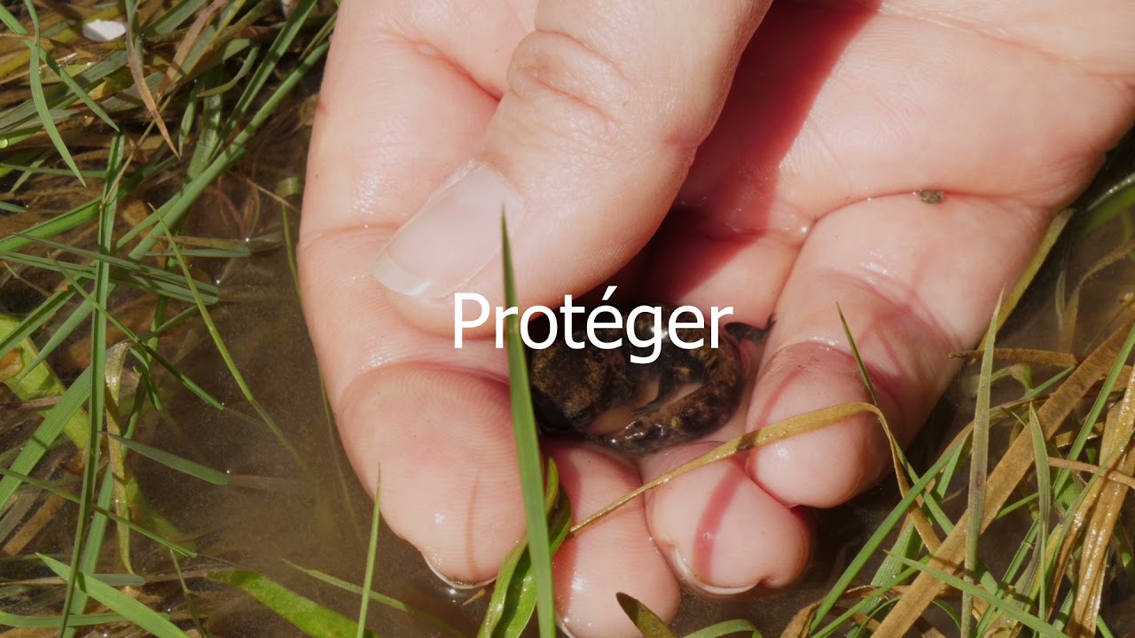Le métier de  chargé de mission au conservatoire d'espaces naturels de Nouvelle-Aquitaine