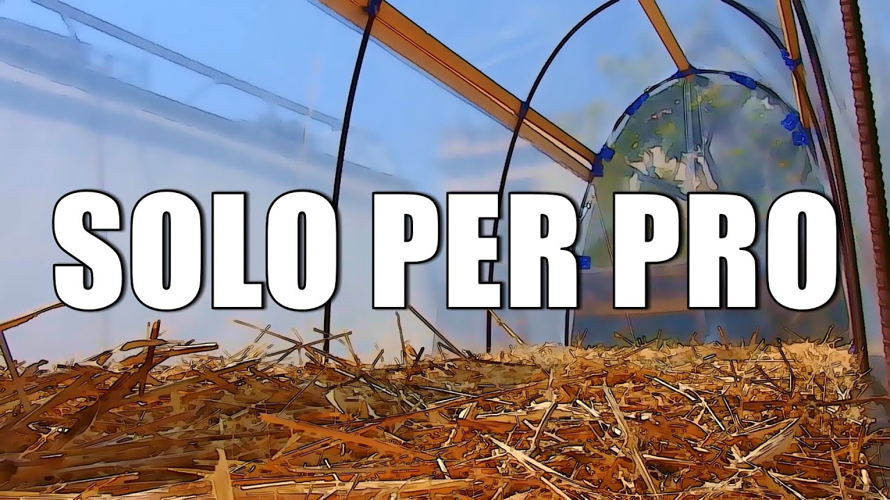 Il vero CASSONE RIALZATO coperto