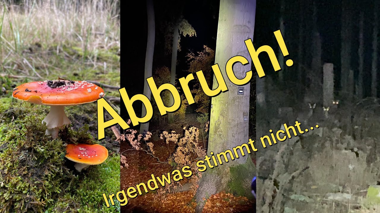 Irgendwas ist im Wald... Mieses Bauchgefühl | Overnighter Abbruch