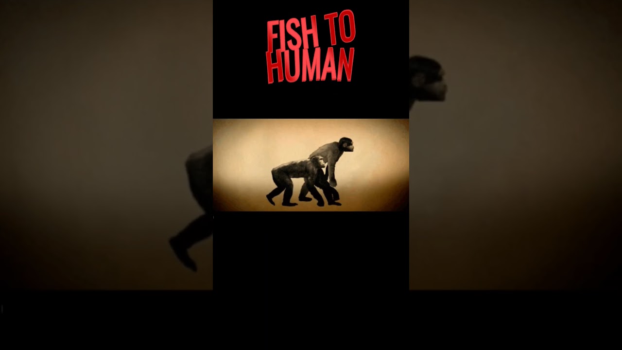 Fish to Human Evolution #biology #ncert #evolution #fish #class12