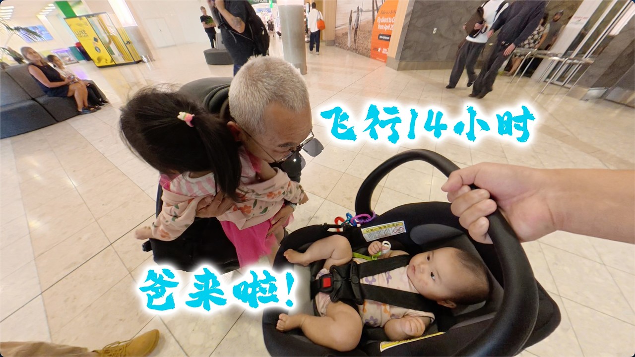 飞14小时，爸到了(新西兰 Harold Vlog 970)