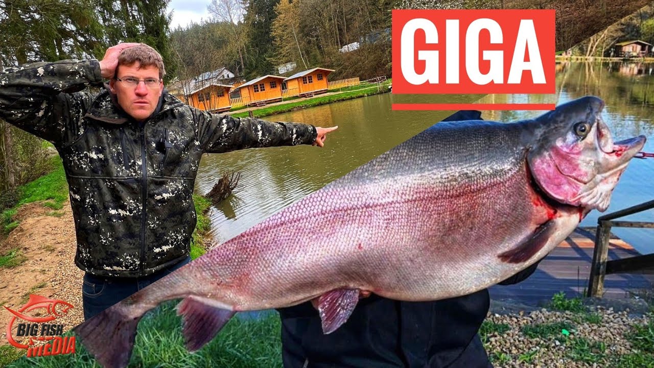 GREWALD & das GIGA-FISCHEN: NEUES von der Barweiler Mühle