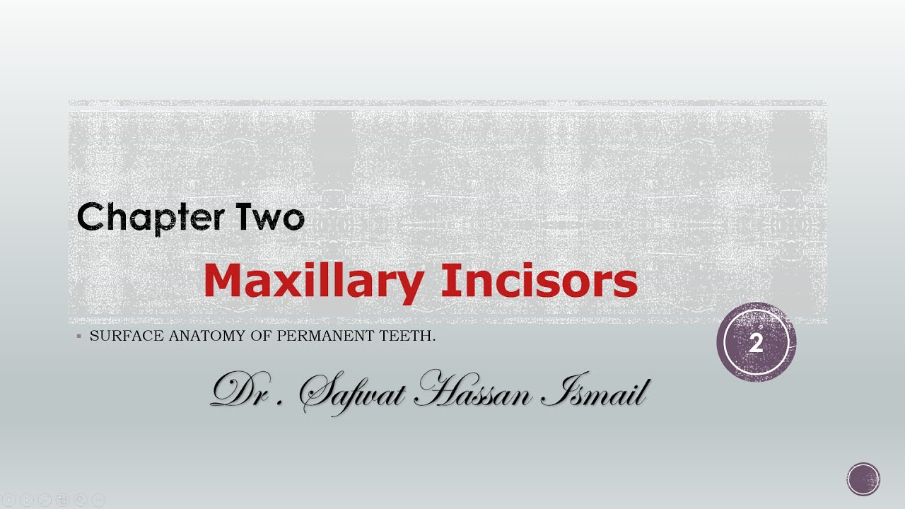 #10-Lec.8|Dentition-Ch.2-Permanent Teeth-MaxillaryIncisors🦷-شابتر 2 وشرح أول جزء في الأسنان الدائمة.