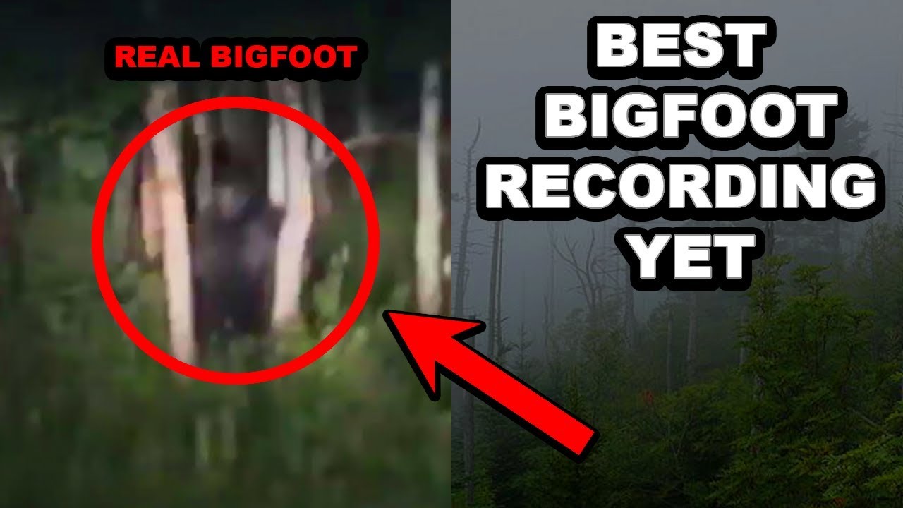 Couple Finds BIGFOOT Hiding In Utah Mountains (Most Convincing Yet)