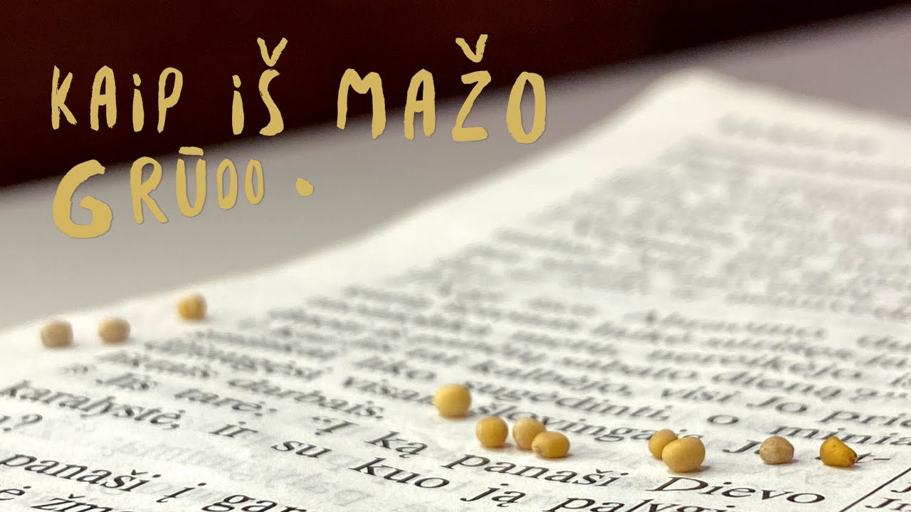 Iš nieko - Kaip iš mažo grūdo