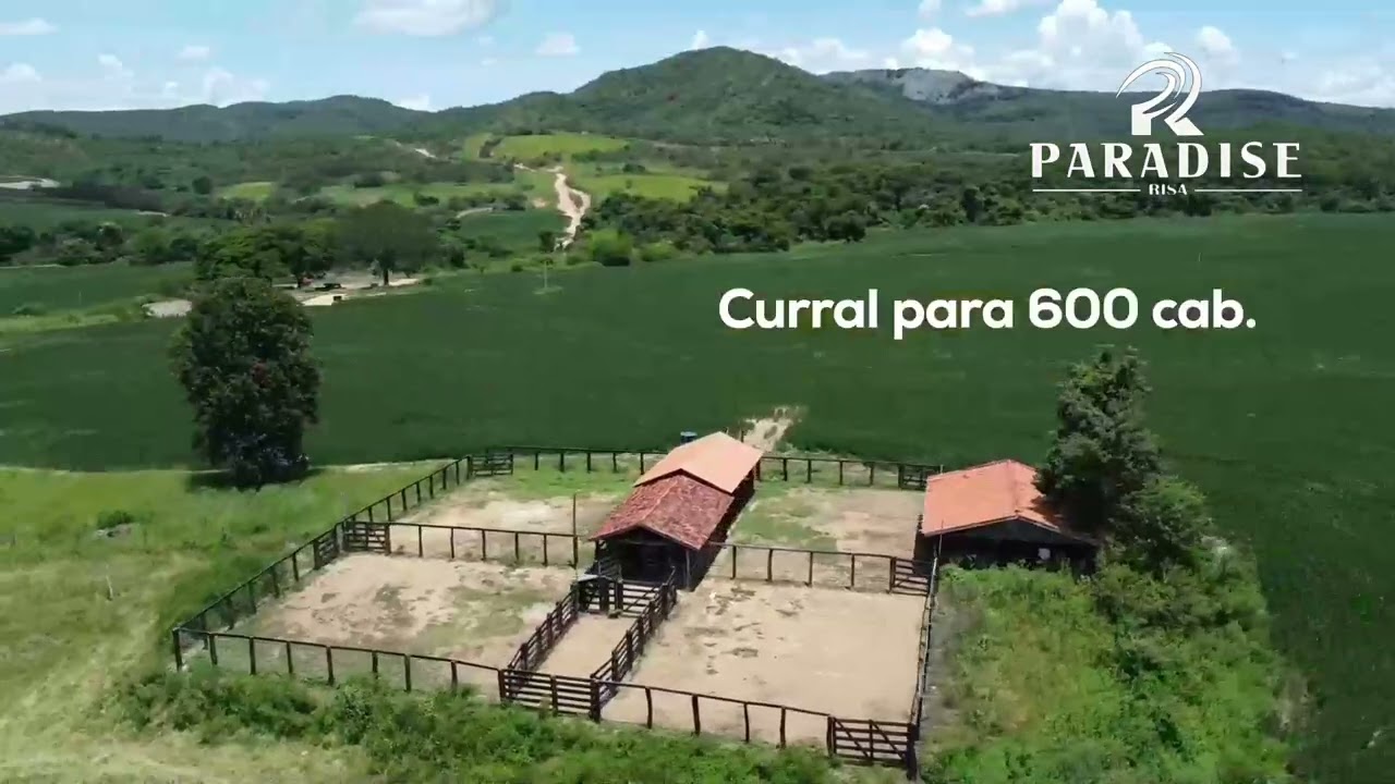 Fazendas estado Goiás 65. Milhões 