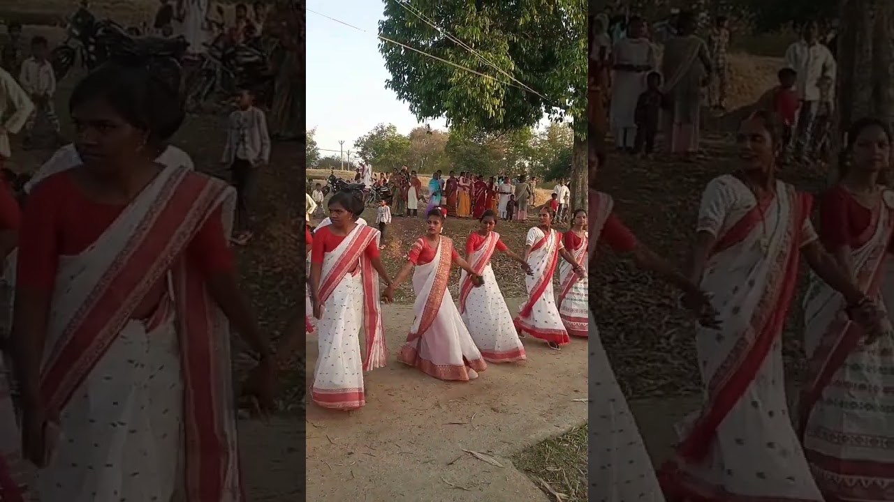 Happy Sarhul Puja 🌸 | Adivasi Sarhul Dance | Jharkhand Culture Dance #shorts