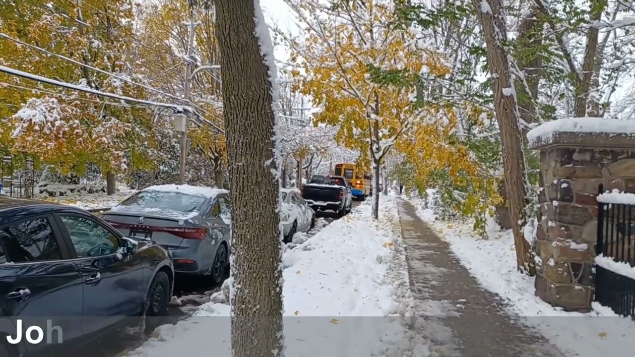First snow day in Montreal, 2025, how beautiful it is !