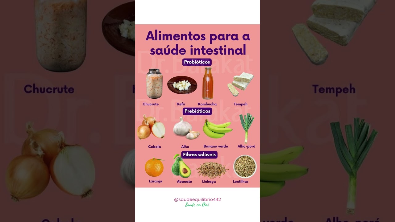 Probi&oacute;ticos, prebi&oacute;ticos e fibras sol&uacute;veis #saude #fibras #probioticos #drbarakat #intestino #dicas