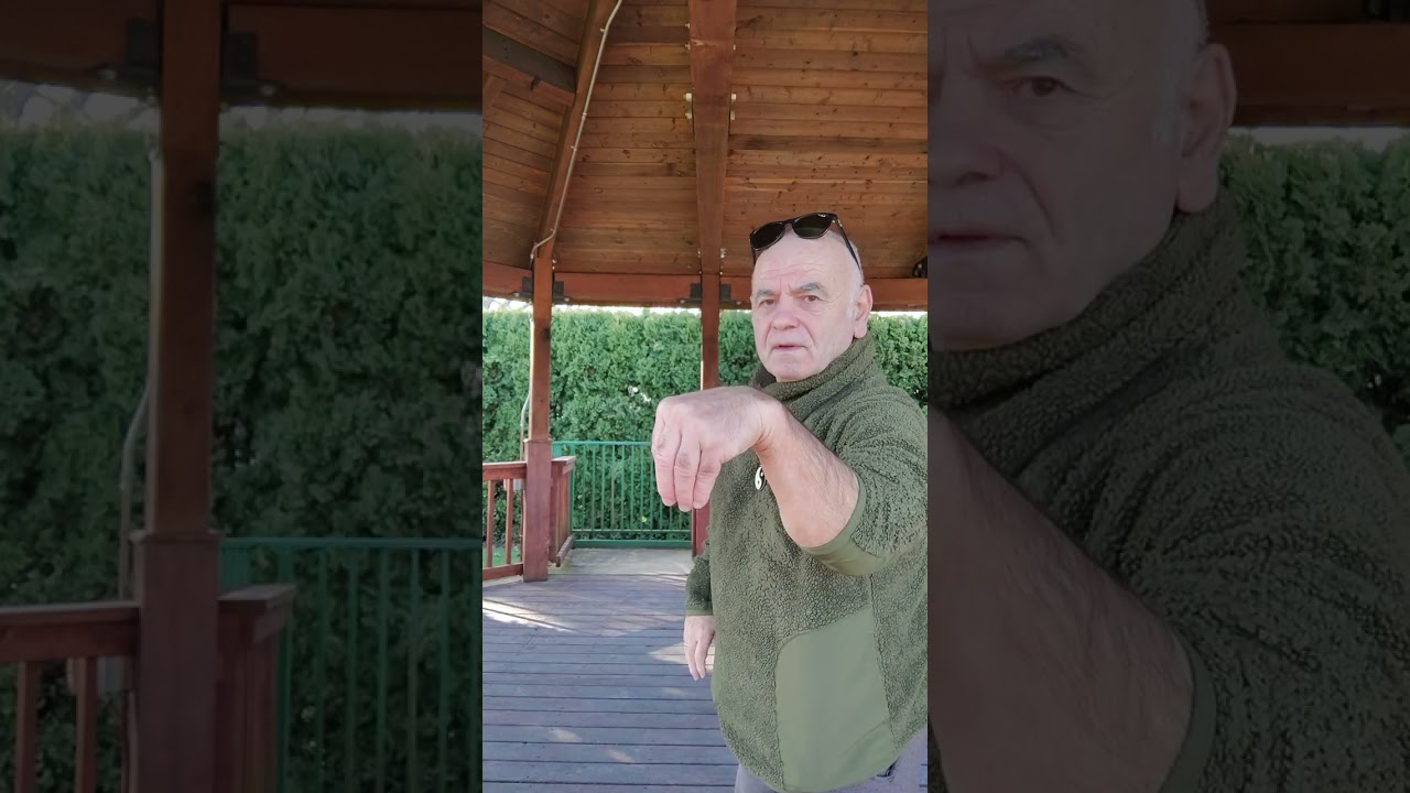 Tai Chi Yang style: snake, 🐓 and 👠 kick.