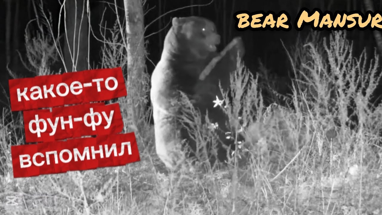 Мансур перед ужином занимается 😁🐻 Mansur works out before dinner_3/11/25
