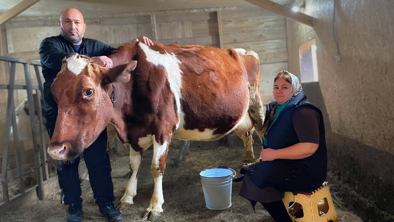 🧀СЫР СВОИМИ РУКАМИ🐄Сыроварня в домашних условиях