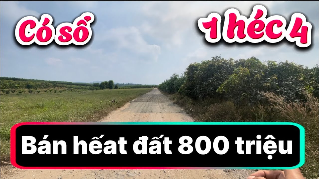 Cần bán 14.000m2 đất đang trồng cây có giếng khoan hệ thống tưới giá bán chỉ 800 tại đồng Nai 