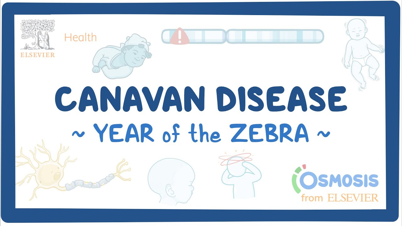 Canavan disease (Year of the Zebra)