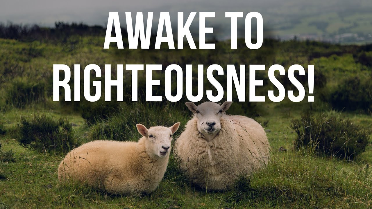 MY PATH LEADS TO EVERLASTING LIFE! AWAKE TO RIGHTEOUSNESS!