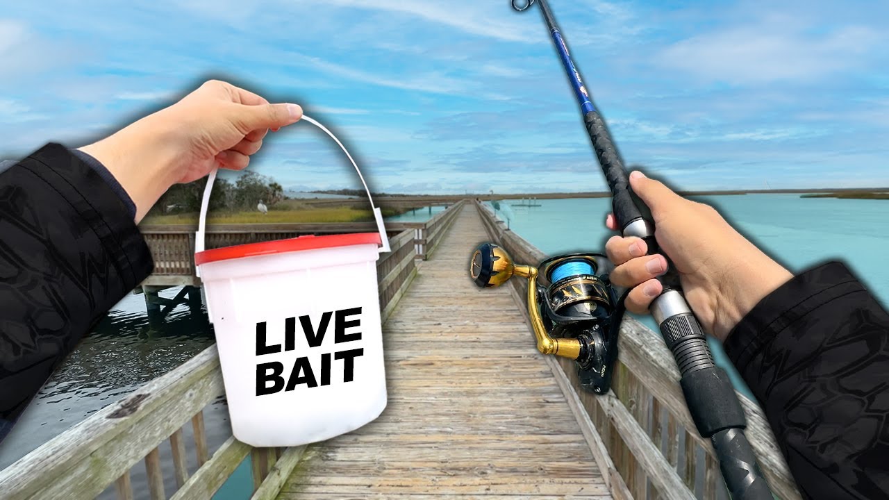 Fishing the DOCKS for Whatever Bites!! (Saltwater Fishing)