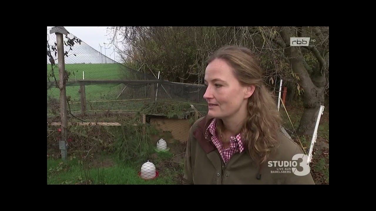Rebhuhn-Auswilderung von rbb24 am 24.01.2023