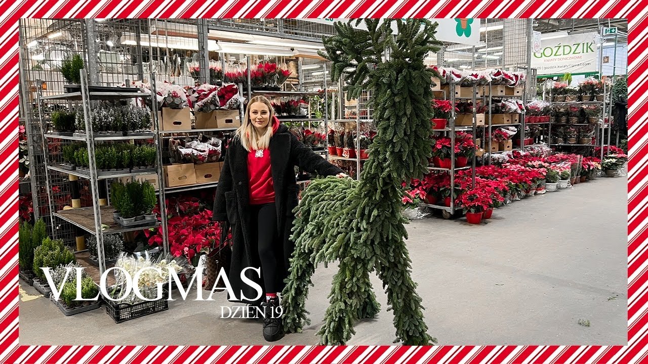 VLOGMAS 19 : KUPIŁAM WIELKIEGO RENIFERA DO NOWEGO DOMU!🎅🏻🏠 | Andziaks