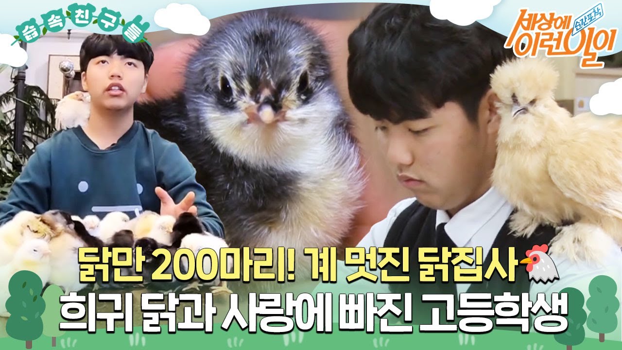 [#습속친구들] 닭만 200마리! 계 멋진 닭집사🐔 희귀 닭과 사랑에 빠진 고등학생 #순간포착세상에이런일이 #WhatonEarth #SBSstory