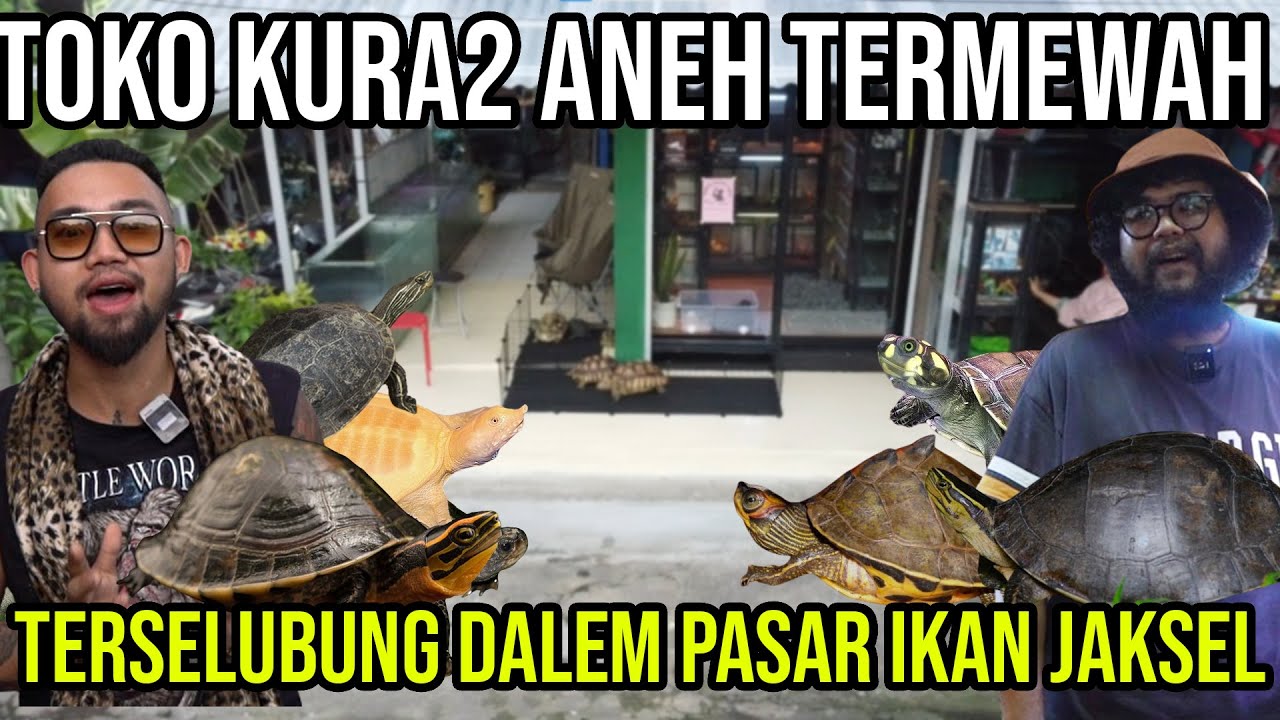 TOKO KURA2 ANEH TERMEWAH TERSELUBUNG DALEM PASAR IKAN JAKSEL!! #Audreykingofthejungle #indoexotic