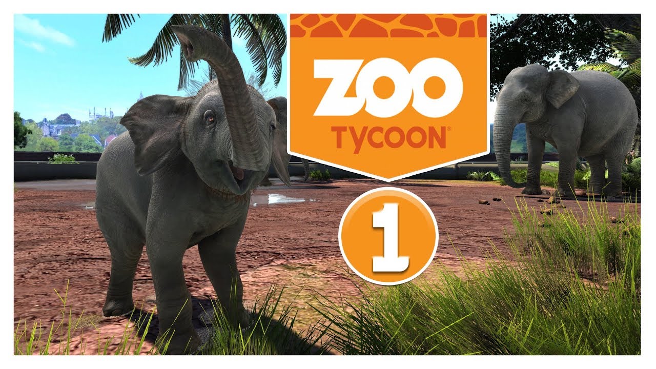 Let's Play 🦁Zoo Tycoon: Ultimate Animal Collection🦁#1 ANTIMALS