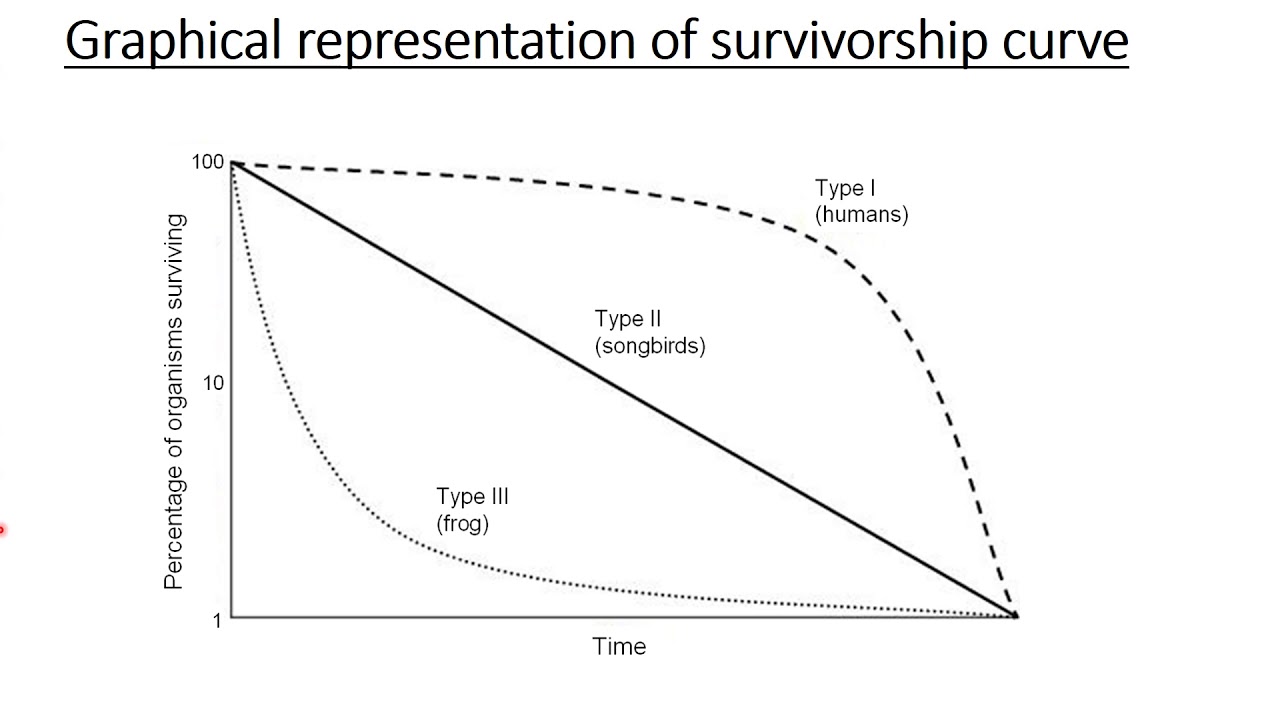 SURVIVORSHIP CURVES | TYPES AND EXAMPLES