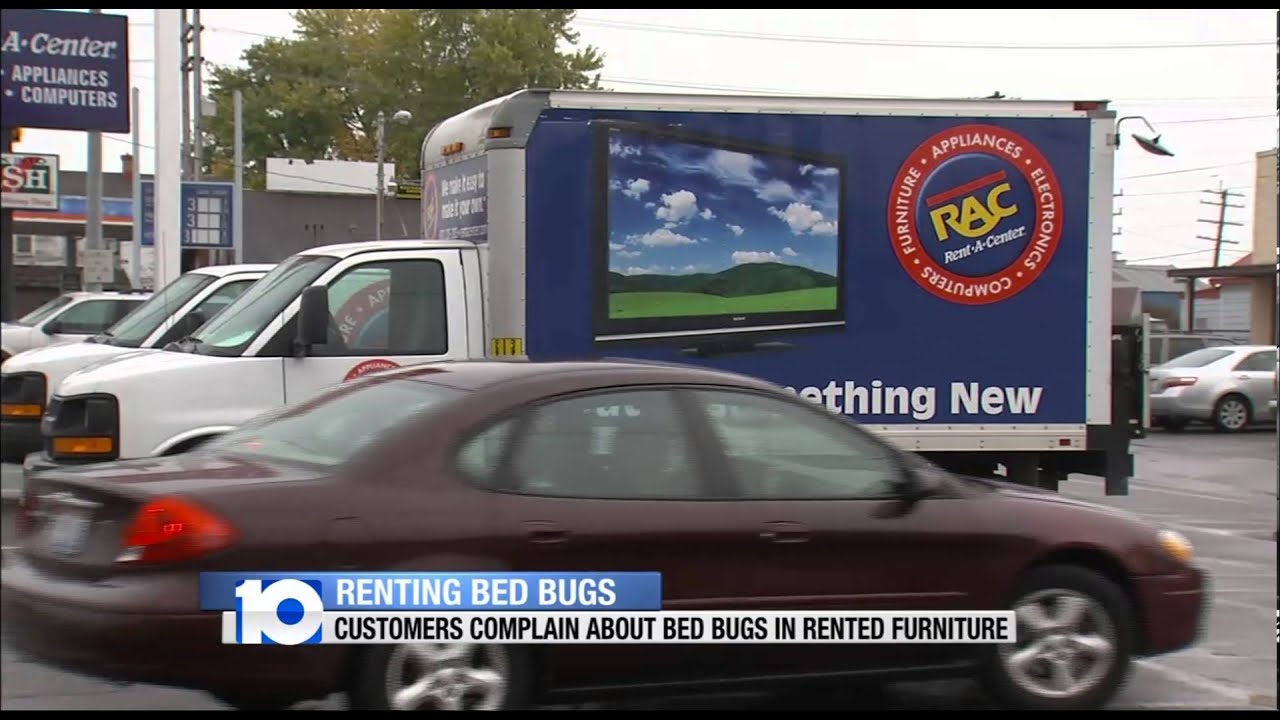 Renting Bed Bugs