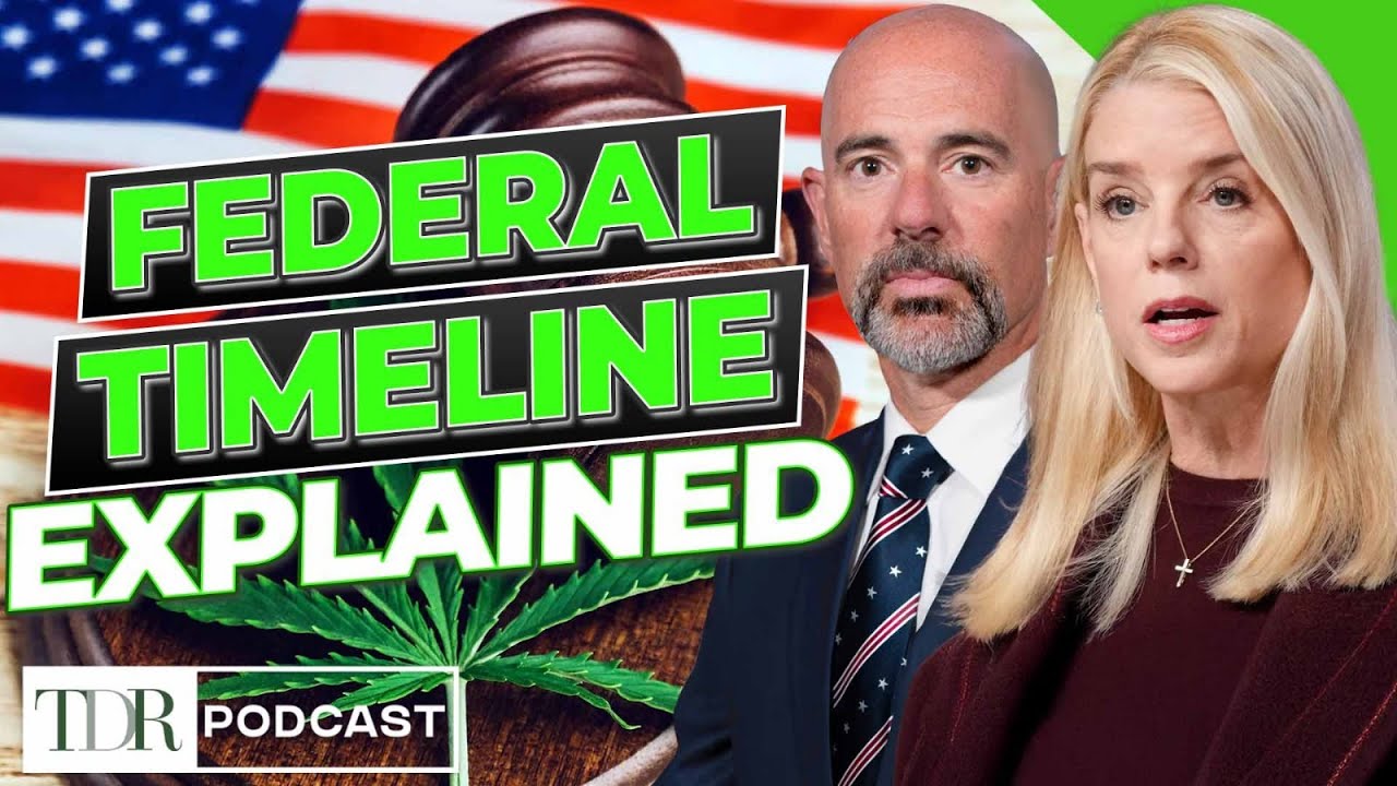 Понимание реальных сроков изменения классификации каннабиса | TDR Cannabis in 5