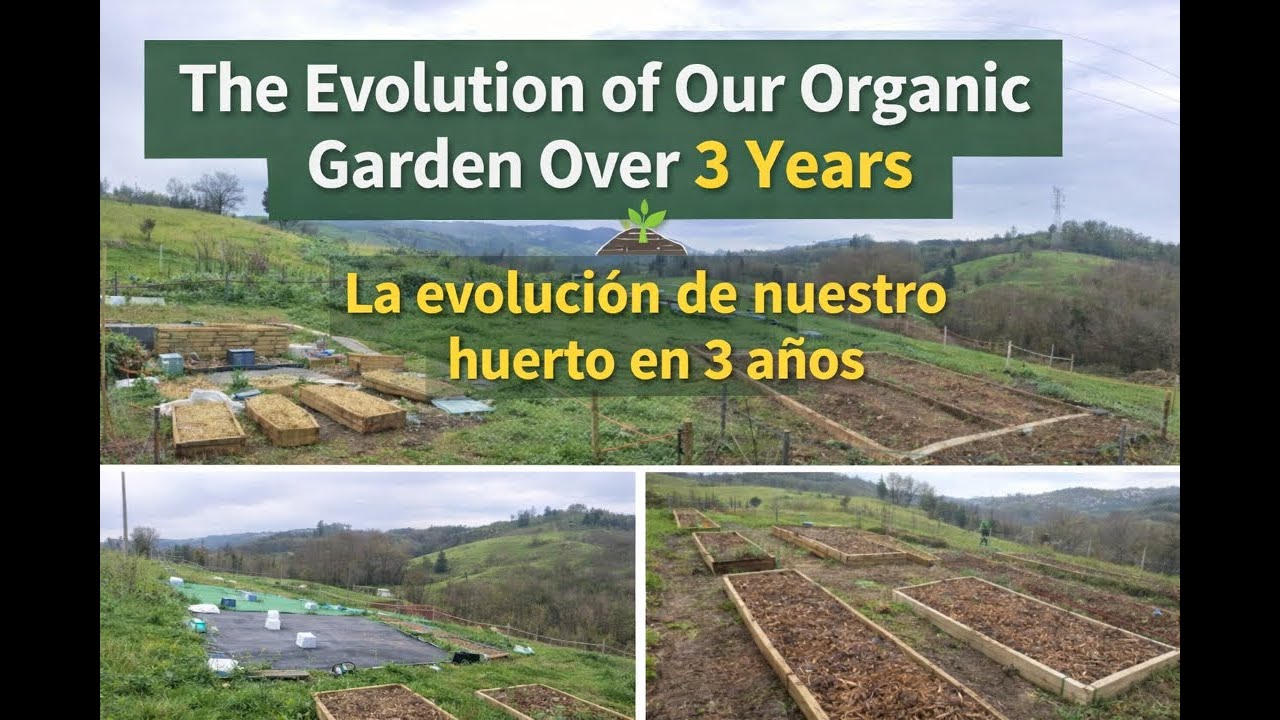 Episode 17 _ The Evolution of Our Organic Garden Over 3 Years: Design, Soil, and Lessons Learned